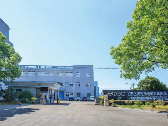 Fiorente produttore di relè professionale Relè PCB automobilistico di marca Elgc 40A 1600MW